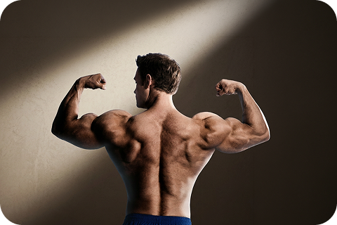 Musculation
